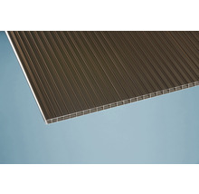 Polycarbonat Doppelstegplatte für Überdachungen