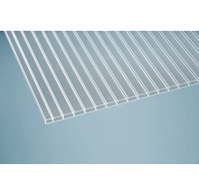 Transparente Doppelstegplatte aus Kunststoff
