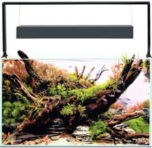 Aquarium AQUAEL UltraScape 60 avec éclairage LED env. 64 l verre optique sans meuble bas forest