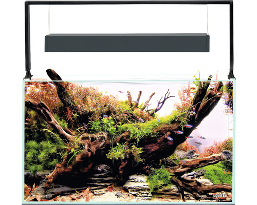 Aquarium AQUAEL UltraScape 60 avec éclairage LED env. 64 l verre optique sans meuble bas forest