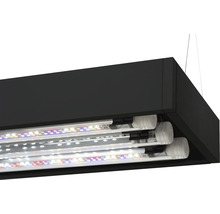 Lampe d''aquarium avec éclairage LED