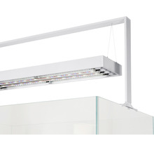 Aquariumleuchte mit LED-Beleuchtung und Halterung