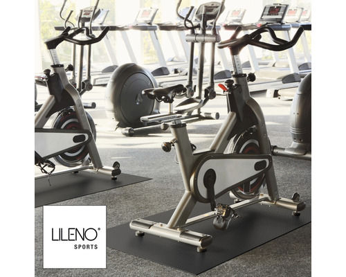 Fitnessraum mit Trainingsgeräten und Lileno Sports Logo