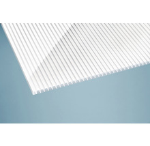 Doppelstegplatte aus Polycarbonat