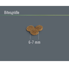 Hundefutter-Pellets mit einer Größe von 6 bis 7 mm