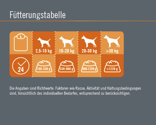 Fütterungstabelle für Hunde mit Gewichtsangaben und Fütterungsempfehlungen