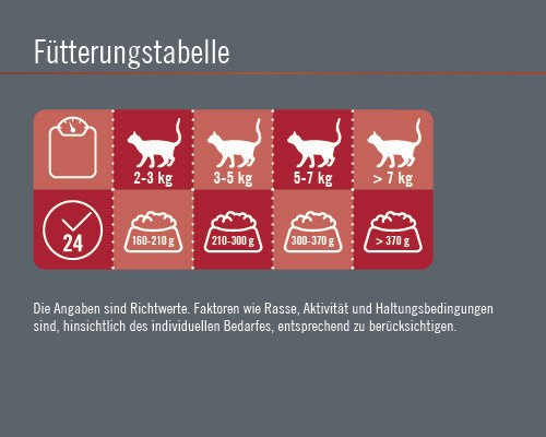 Fütterungstabelle für Katzen mit Gewichtsempfehlungen