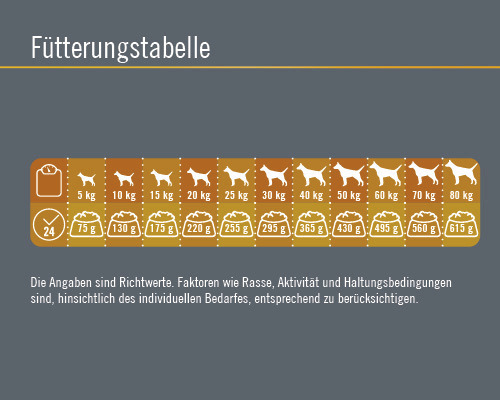 Fütterungstabelle für Hunde mit Gewichtsangaben und Futtermenge