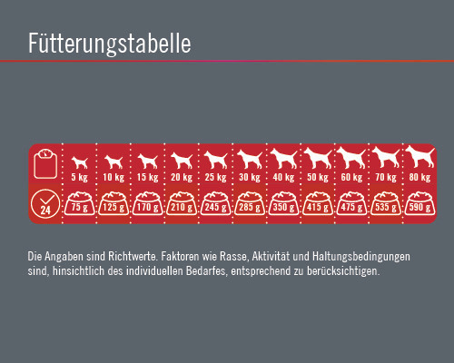 Fütterungstabelle für Hunde mit Angaben zur Futtermenge je nach Gewicht