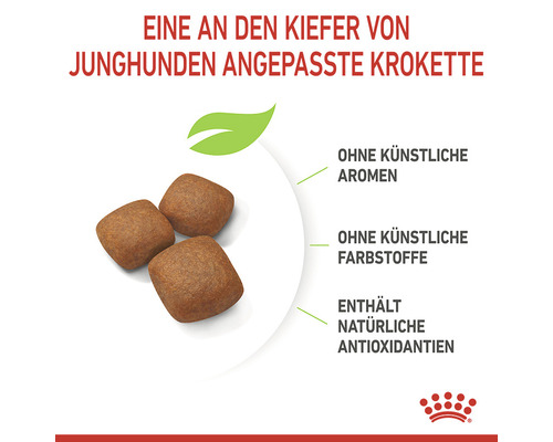Hundefutterkroketten für Junghunde, ohne künstliche Aromen, ohne künstliche Farbstoffe, enthält natürliche Antioxidantien