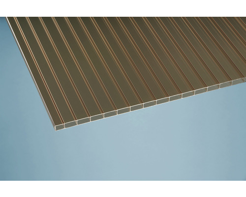 Plaque alvéolaire en plastique