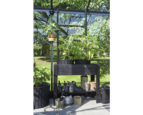 Gewächshausinterieur mit Pflanzen, Pflanzgefäßen und Regal