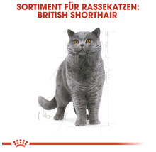 Katzenfutter trocken ROYAL CANIN British Shorthair 400 g