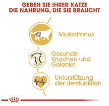 Katzenfutter trocken ROYAL CANIN British Shorthair 400 g