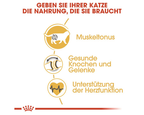 Informationen zur Unterstützung von Muskeltonus, gesunden Knochen und Gelenken sowie der Herzfunktion für Katzen