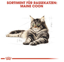 Katzenfutter trocken ROYAL CANIN Maine Coon 400 g