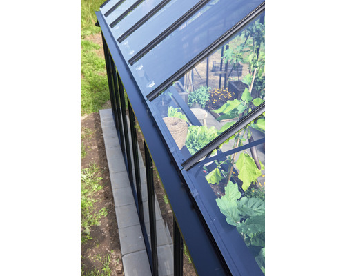 Detailansicht eines Gewächshauses mit Pflanzen im Inneren