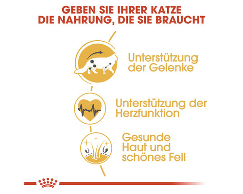 Katzenfutter Vorteile: Unterstützung der Gelenke, Herzfunktion, gesunde Haut und schönes Fell