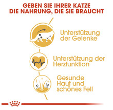 Royal Canin Katzenfutter Maine Coon, 10 kg