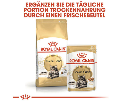 Royal Canin Maine Coon Adult Katzenfutter Trocken- und Feuchtfutter