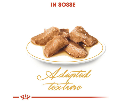 Katzenfutter in Soße mit angepasster Textur auf einem Teller