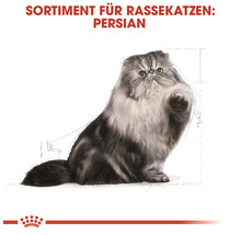 Katzenfutter trocken ROYAL CANIN Persian 2 kg