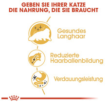 Katzenfutter trocken ROYAL CANIN Persian 2 kg