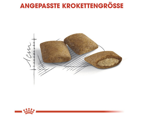 Nahaufnahme von drei Kroketten mit angepasster Größe für Tiernahrung.