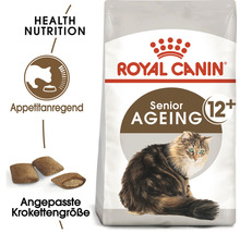 Katzenfutter trocken ROYAL CANIN Ageing +12 2 kg