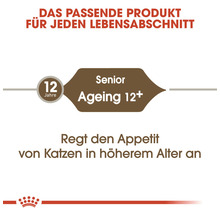 Katzenfutter trocken ROYAL CANIN Ageing +12 2 kg