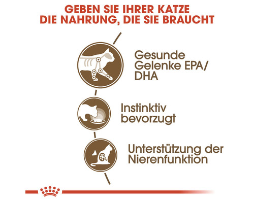 Illustration zur Unterstützung von gesunden Gelenken und der Nierenfunktion für Katzenfutter