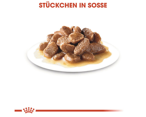 Stückchen in Sauce Katzenfutter auf einem Teller