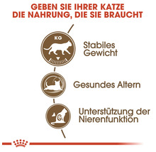 Katzenfuttervorteile: stabiles Gewicht, gesundes Altern, Unterstützung der Nierenfunktion