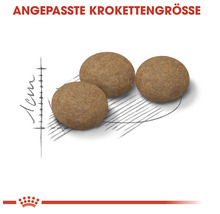 Drei Trockenfutter-Kroketten mit Größenangabe