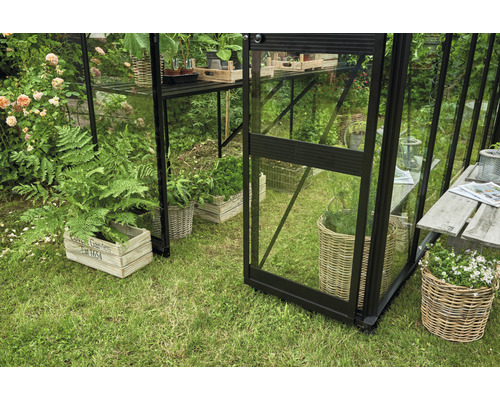 Gewächshaus mit Pflanzen in Töpfen und Regalen auf Rasen