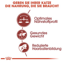 Katzenfutter trocken ROYAL CANIN Fit 400 g