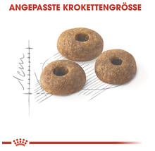 Katzenfutter trocken ROYAL CANIN Fit 400 g