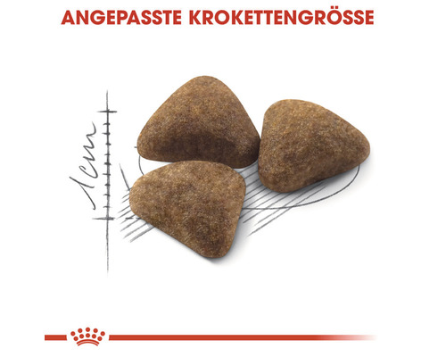 Drei Futterkroketten mit Größenangabe