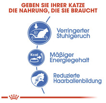 Katzenfutter trocken ROYAL CANIN Indoor 10 kg