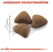 Katzenfutter trocken ROYAL CANIN Indoor 10 kg