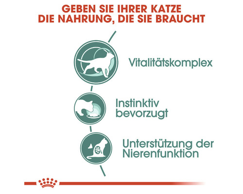 Katzenfutter mit Vitalitätskomplex, instinktiver Akzeptanz und Unterstützung der Nierenfunktion