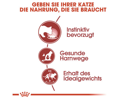 Katzenfutter Vorteile: Instinktive Präferenz, gesunde Harnwege und Erhaltung des Idealgewichts