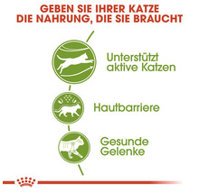 Katzenfutter trocken ROYAL CANIN Outdoor 400 g