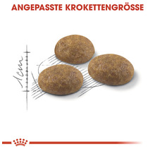 Katzenfutter trocken ROYAL CANIN Outdoor 400 g