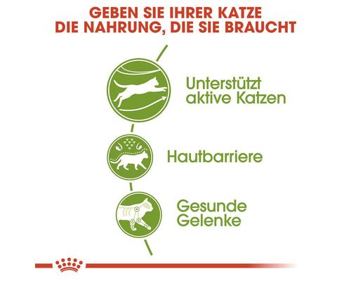 Informationen über Katzennahrungs-Vorteile: unterstützt aktive Katzen, Hautbarriere, gesunde Gelenke