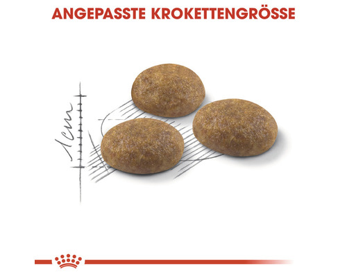 Drei Futterkroketten mit angepasster Kroketten Größe