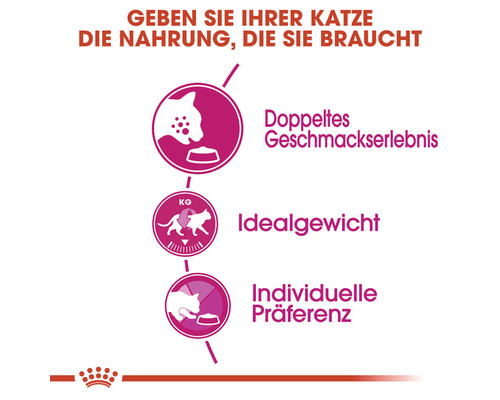 Katzenfutter Vorteile: doppelter Geschmack, Idealgewicht und individuelle Präferenz