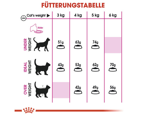 Fütterungstabelle für Katzen nach Gewicht: Untergewicht, Idealgewicht und Übergewicht