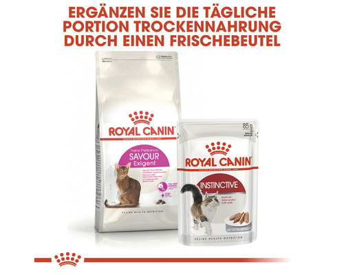 Royal Canin Katzenfutter Trockenfutter und Feuchtfutter