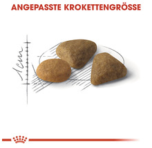 Royal Canin Katzenfutter Exigent Savour 35/30, 4 kg